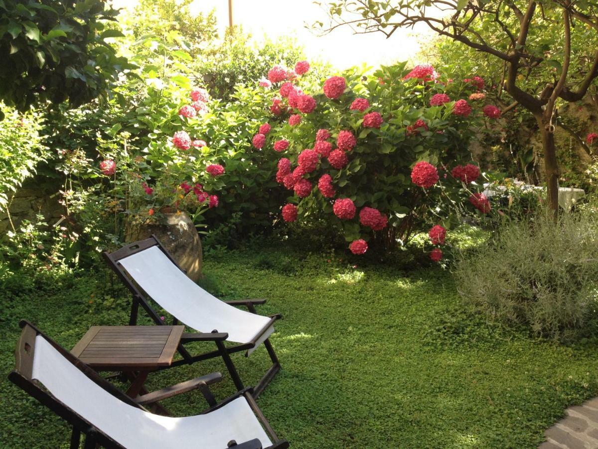 Il Giardino Incantato Монтероссо-аль-Маре Экстерьер фото
